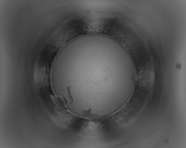 X0000095670737200801151103