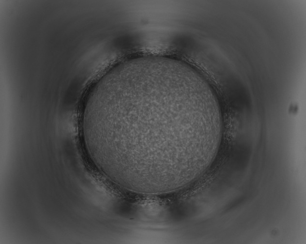 X0000095670738200801151103