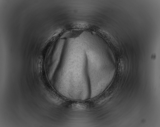 X0000095670739200801151103