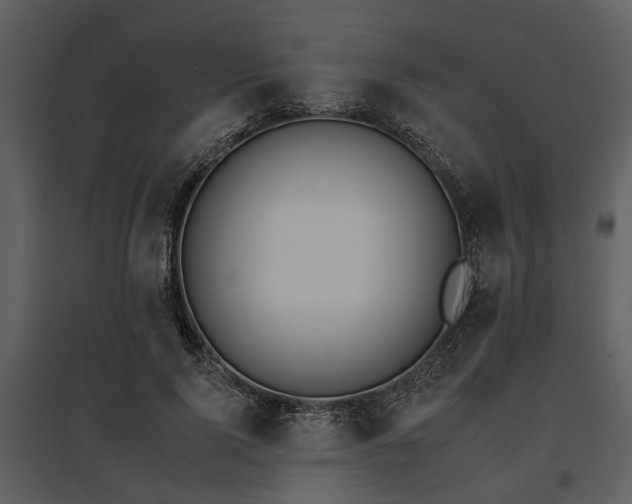 X0000095670740200801151103