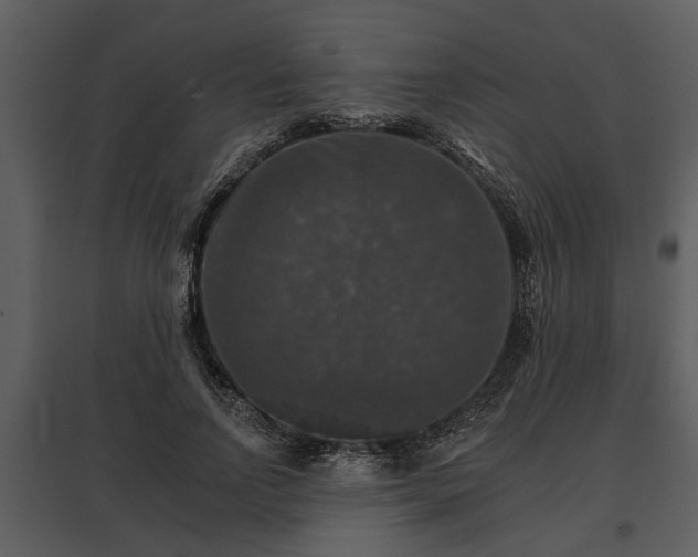 X0000095670742200801151103