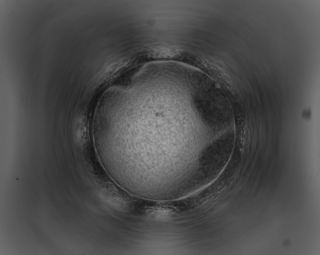 X0000095670743200801151103