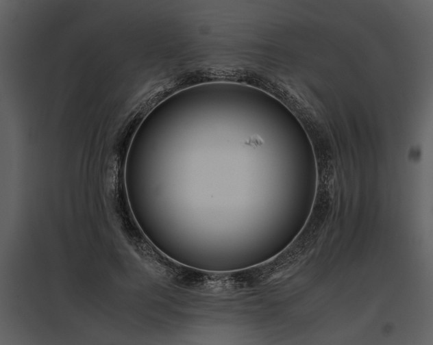 X0000095670744200801151103