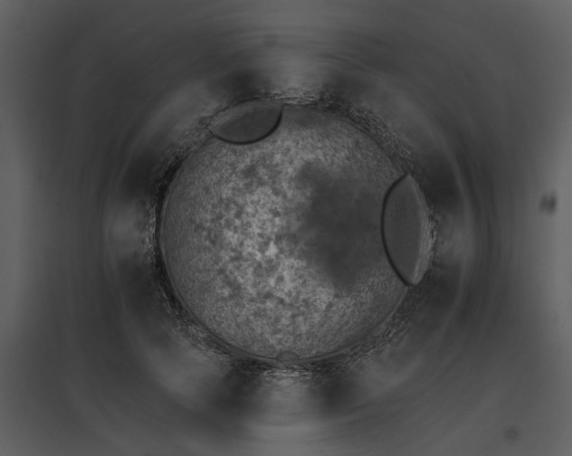 X0000095670745200801151103