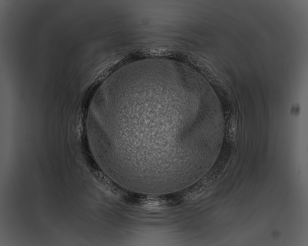 X0000095670746200801151103