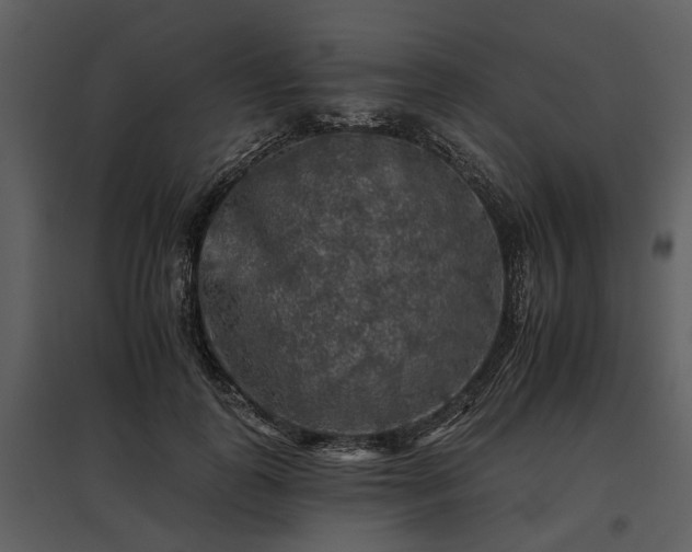 X0000095670747200801151103