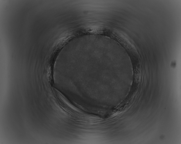 X0000095670748200801151103