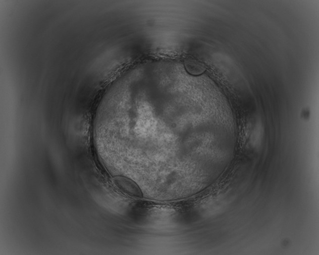 X0000095670749200801151103