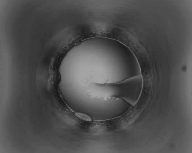 X0000095670750200801151103