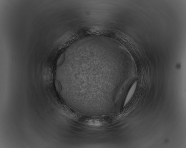 X0000095670751200801151103