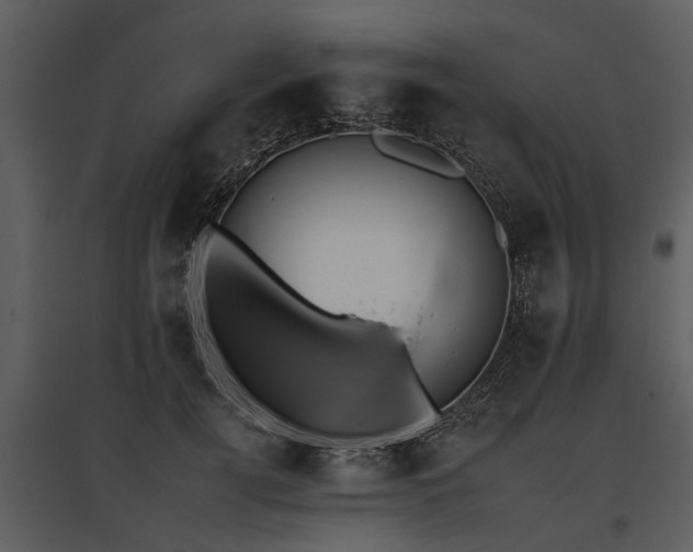 X0000095670752200801151103