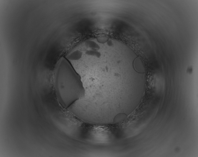 X0000095670753200801151103