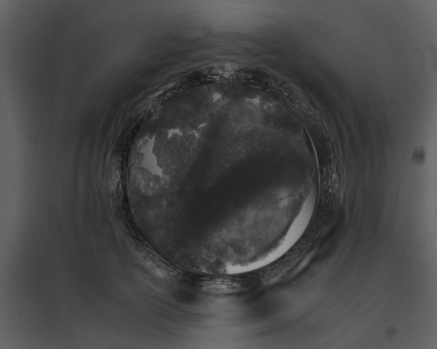 X0000095670754200801151103