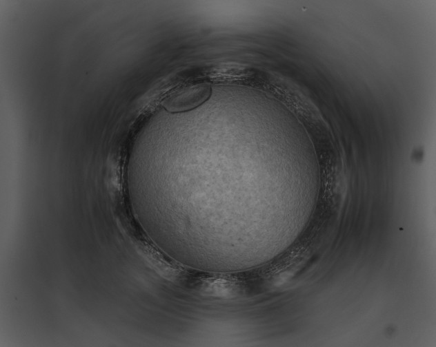 X0000095670755200801151103