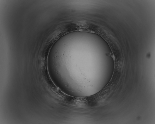 X0000095670756200801151103