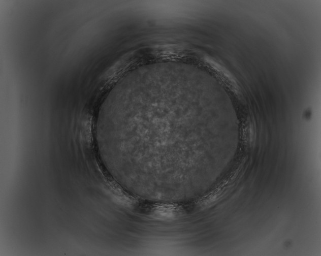 X0000095670757200801151103