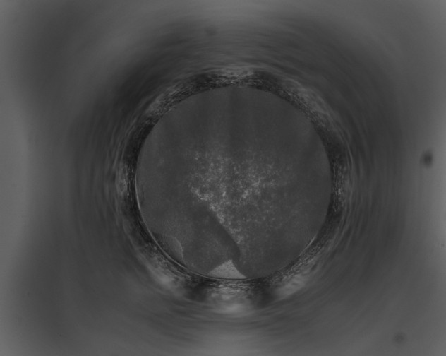 X0000095670758200801151103