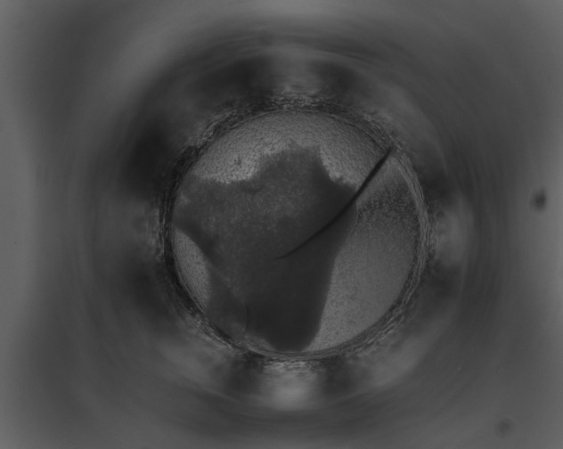 X0000095670759200801151103