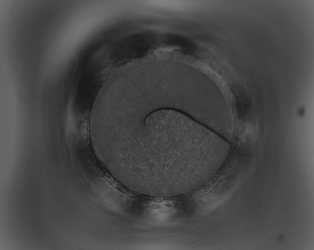 X0000095670760200801151103