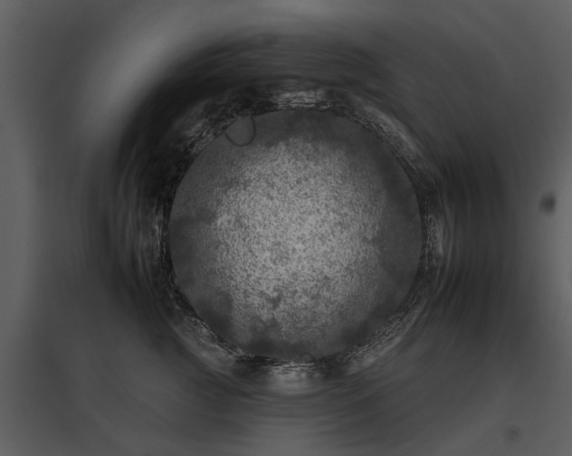 X0000095670761200801151103