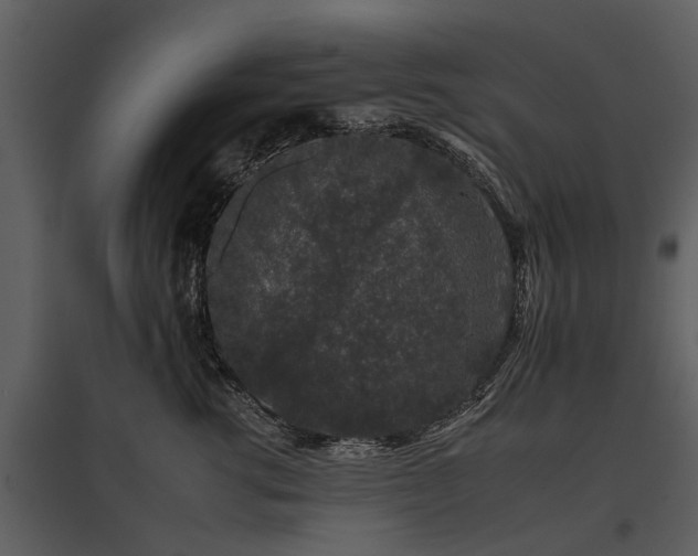 X0000095670762200801151103