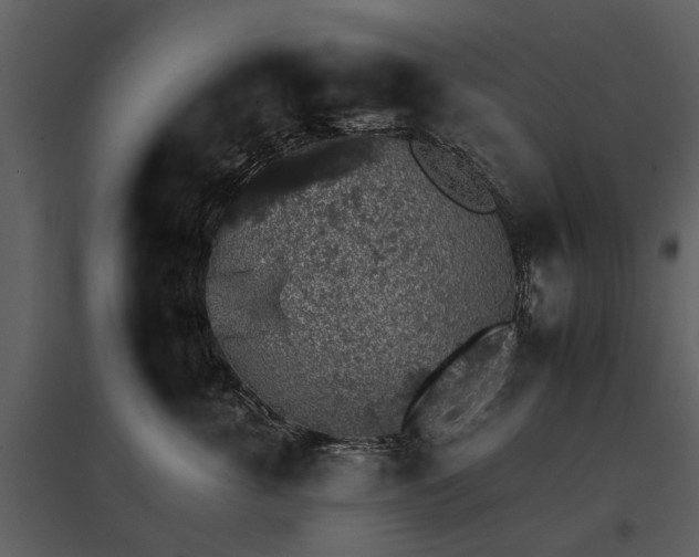 X0000095670763200801151103