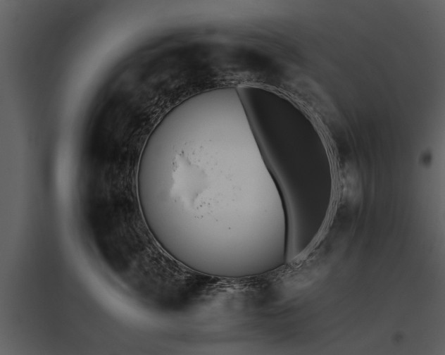 X0000095670764200801151104