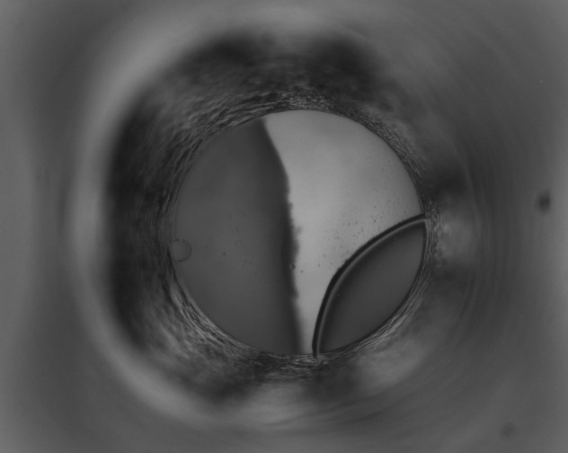 X0000095670765200801151104