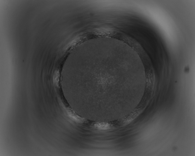 X0000095670767200801151104