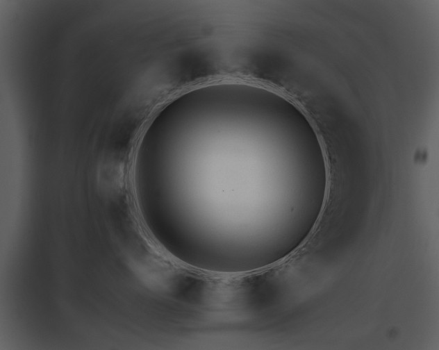 X0000095670768200801151104