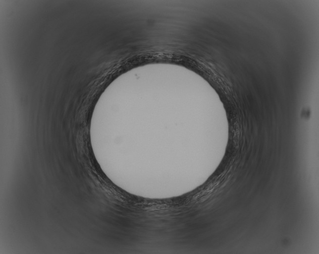 X0000095670769200801151103