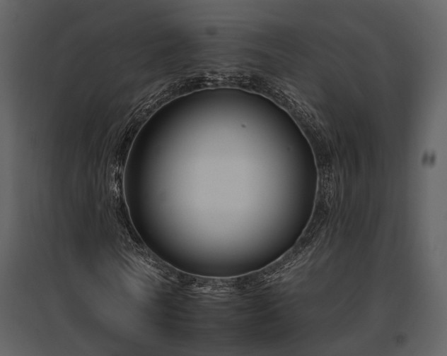 X0000095670770200801151103