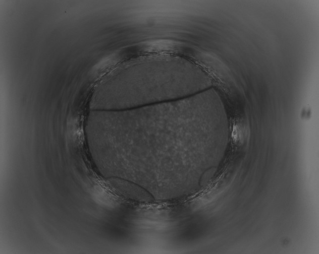 X0000095670771200801151103