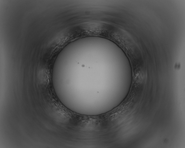 X0000095670772200801151103