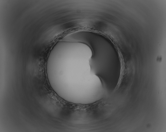 X0000095670773200801151103