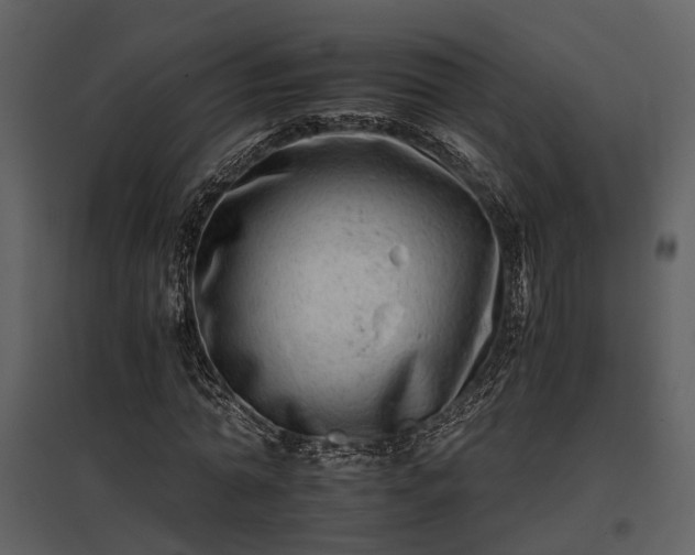 X0000095670774200801151103