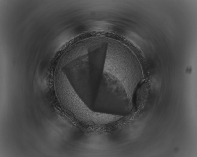 X0000095670775200801151103