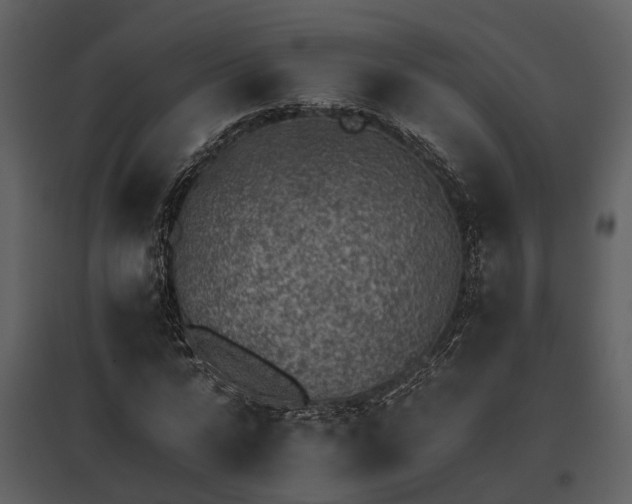 X0000095670776200801151103