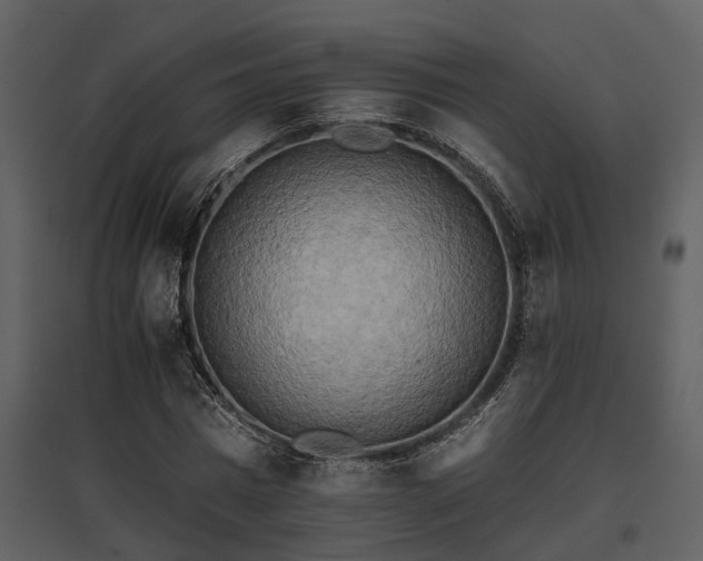 X0000095670777200801151103