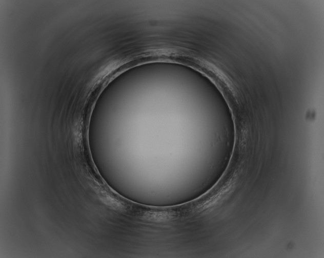 X0000095670778200801151103