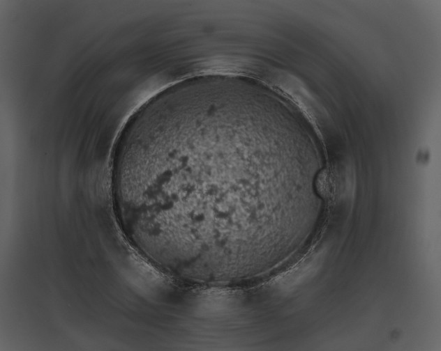 X0000095670779200801151103