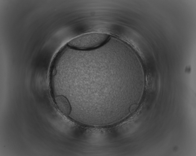 X0000095670780200801151103