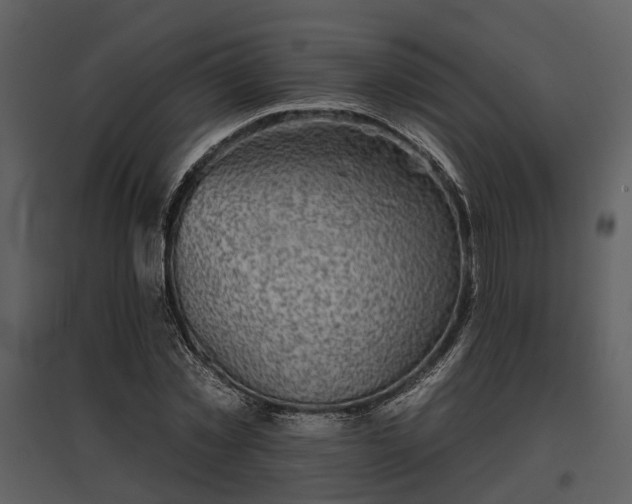 X0000095670781200801151103