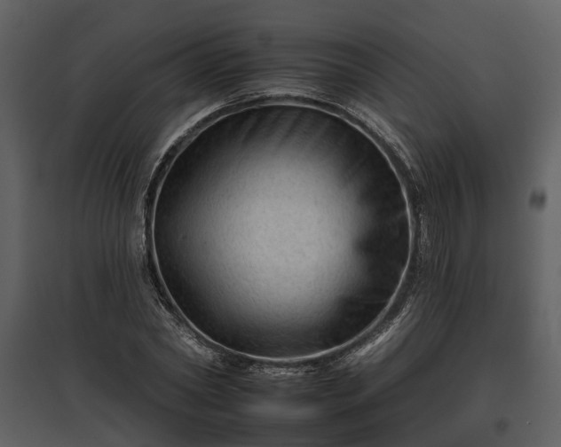 X0000095670782200801151103