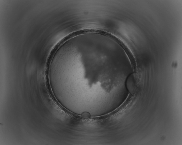 X0000095670783200801151103