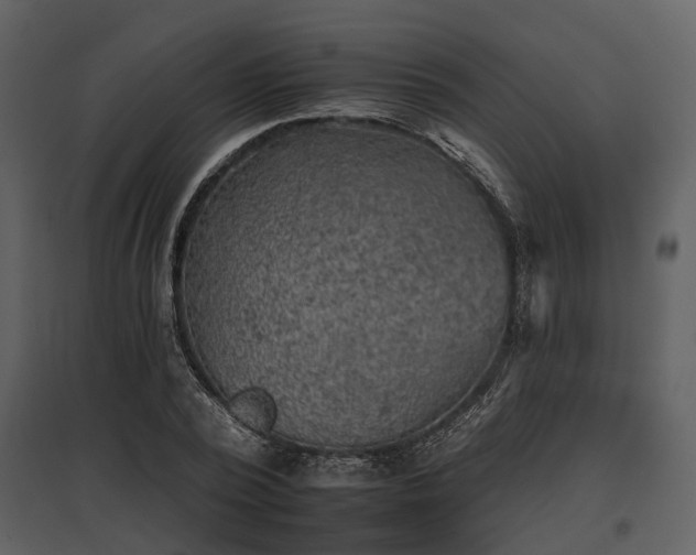 X0000095670784200801151103