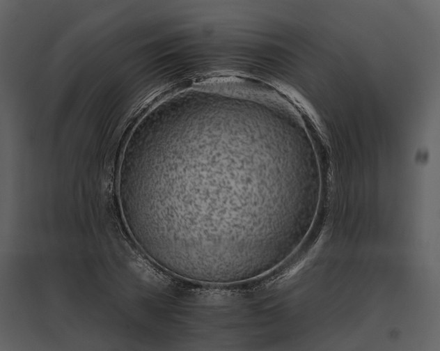 X0000095670785200801151103