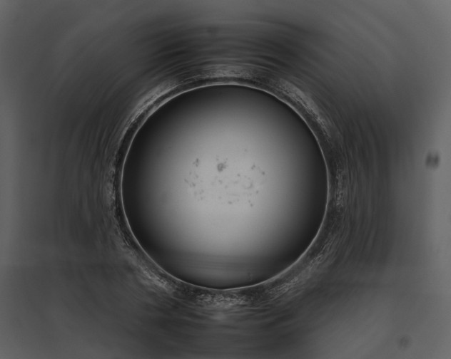 X0000095670786200801151103