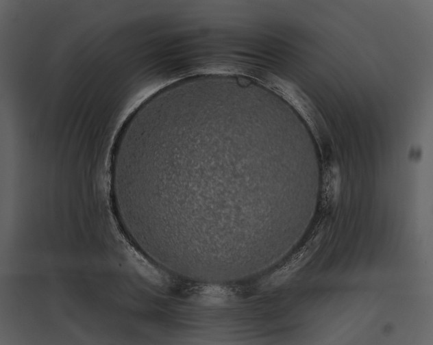 X0000095670787200801151103