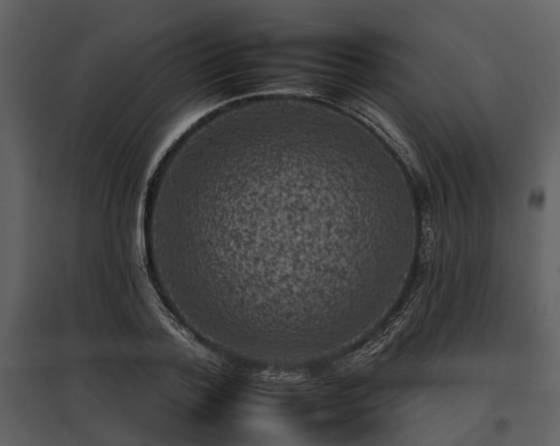 X0000095670788200801151103